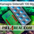 Kamagra Sildenafil 100Mg new03